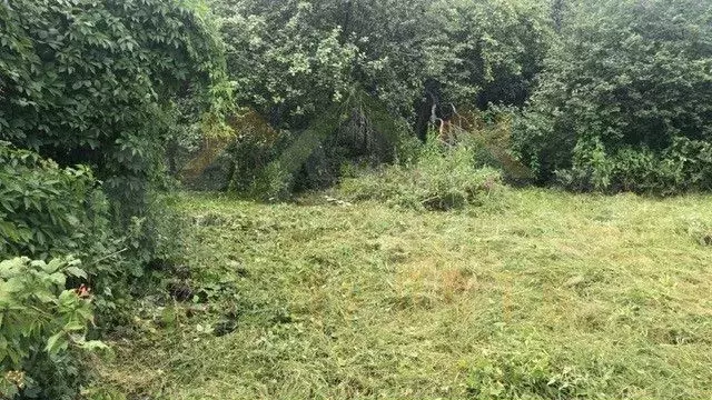 Участок 4 сот. (СНТ, ДНП) - Фото 1