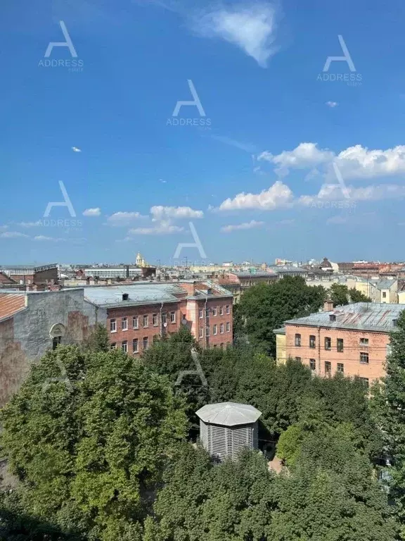 Студия Санкт-Петербург Социалистическая ул., 21 (26.4 м) - Фото 2