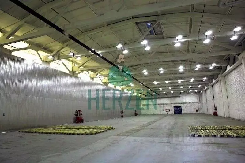 Склад в Московская область, Богородский городской округ, имени ... - Фото 1