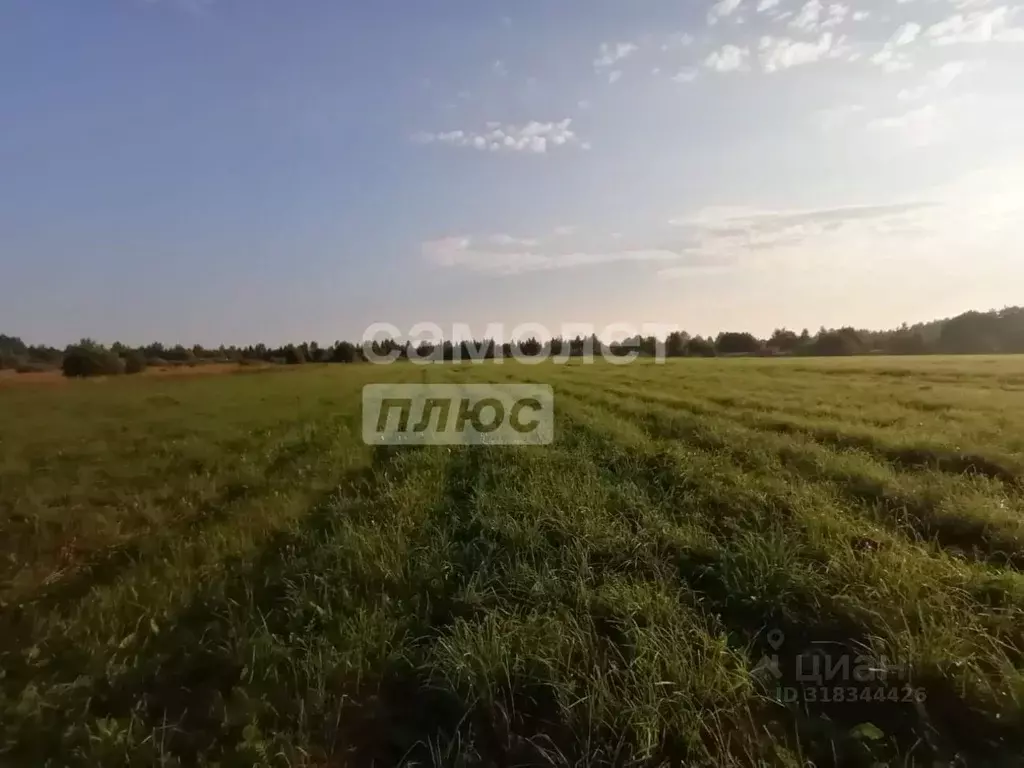 Участок в Ярославская область, Пошехонский муниципальный округ, ... - Фото 2