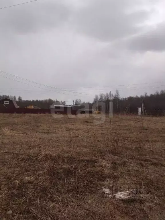 Участок в Вологодская область, пос. Грибково  (14.0 сот.) - Фото 1