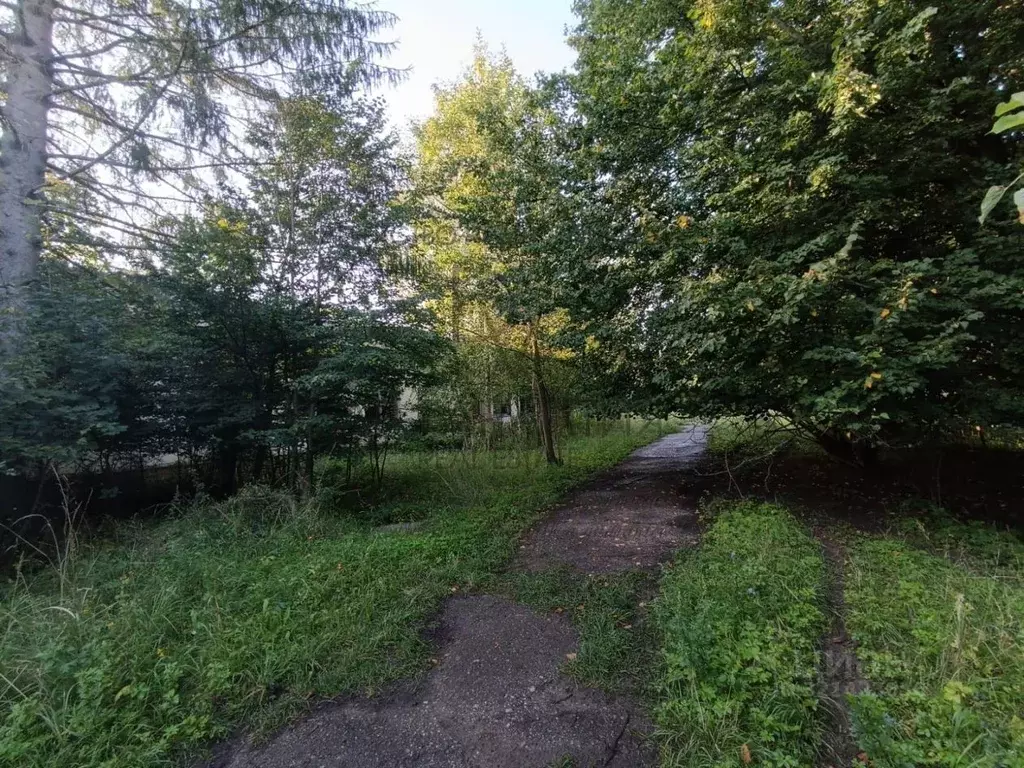 Помещение свободного назначения в Калининградская область, Калининград ... - Фото 1
