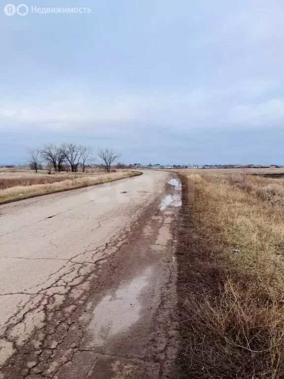 Участок в Энгельсский район, Красноярское муниципальное образование, ... - Фото 2