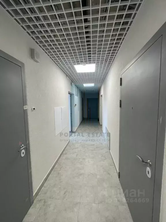 Студия Московская область, Подольск городской округ, д. Борисовка ул. ... - Фото 1