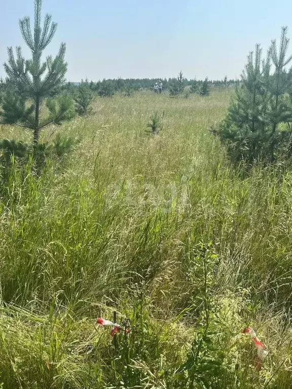 Участок 11,6 сот. (СНТ, ДНП) - Фото 1