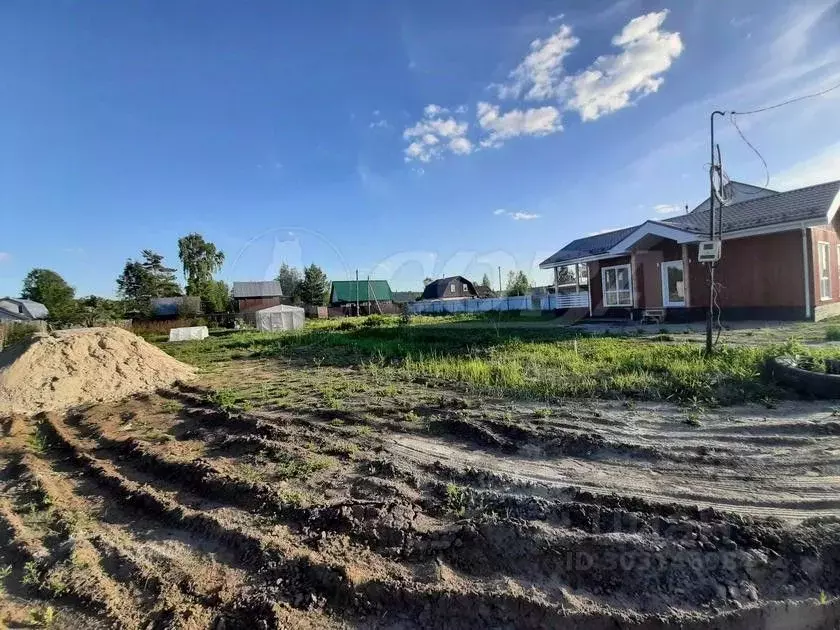 Участок в Тюменская область, Тюмень Текстильщик СНТ, ул. Кремлевская ... - Фото 0