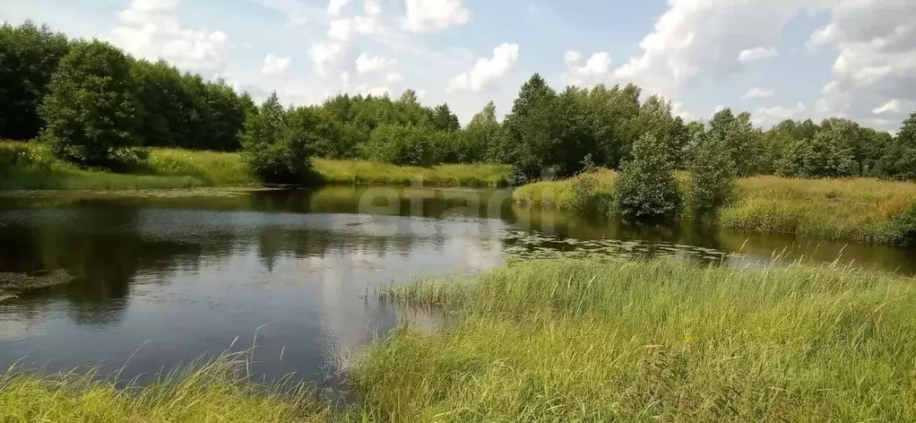 Участок в Владимирская область, Судогодский район, д. Райки  (14.35 ... - Фото 0