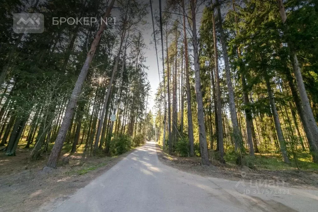 Участок в Санкт-Петербург, Санкт-Петербург, Зеленогорск ул. 1-я ... - Фото 2
