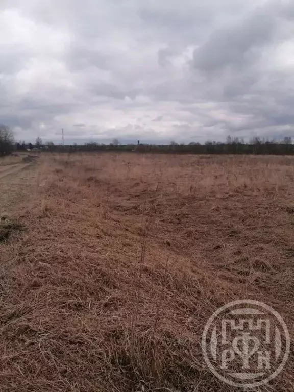 Участок в Ленинградская область, Лужский район, Скребловское с/пос, д. ... - Фото 1