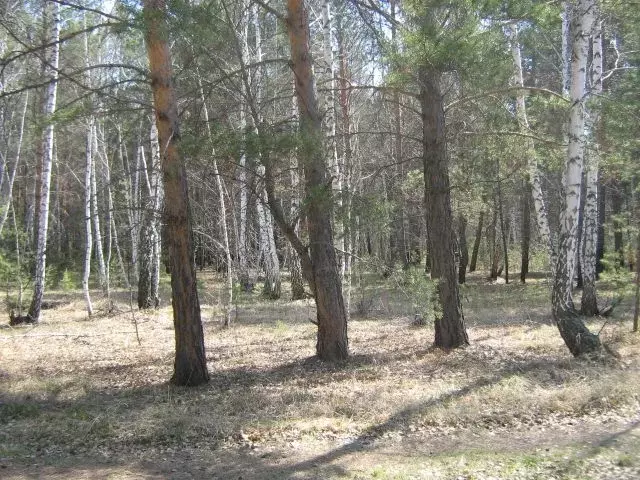 Дом в Омская область, Омский район, Чернолучинский дп  (2 м) - Фото 0