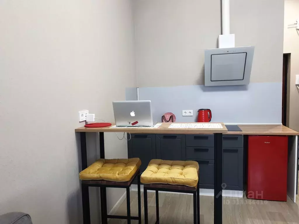 Студия Ленинградская область, Гатчинский район, д. Малое Верево ул. ... - Фото 2