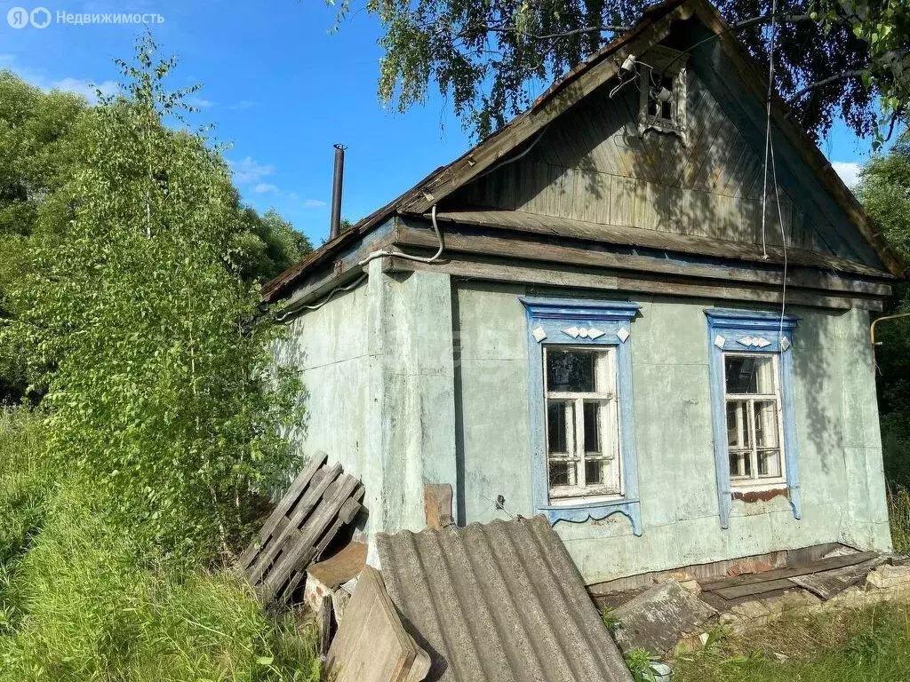 Дом в Пензенский район, Богословский сельсовет, село Васильевка (35 м) - Фото 0