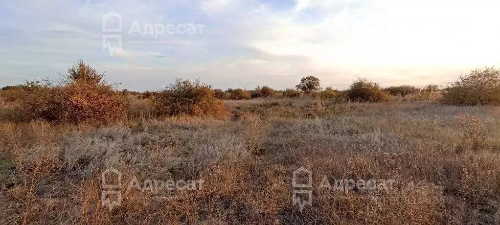 Участок в Волгоградская область, Краснослободск Среднеахтубинский ... - Фото 1