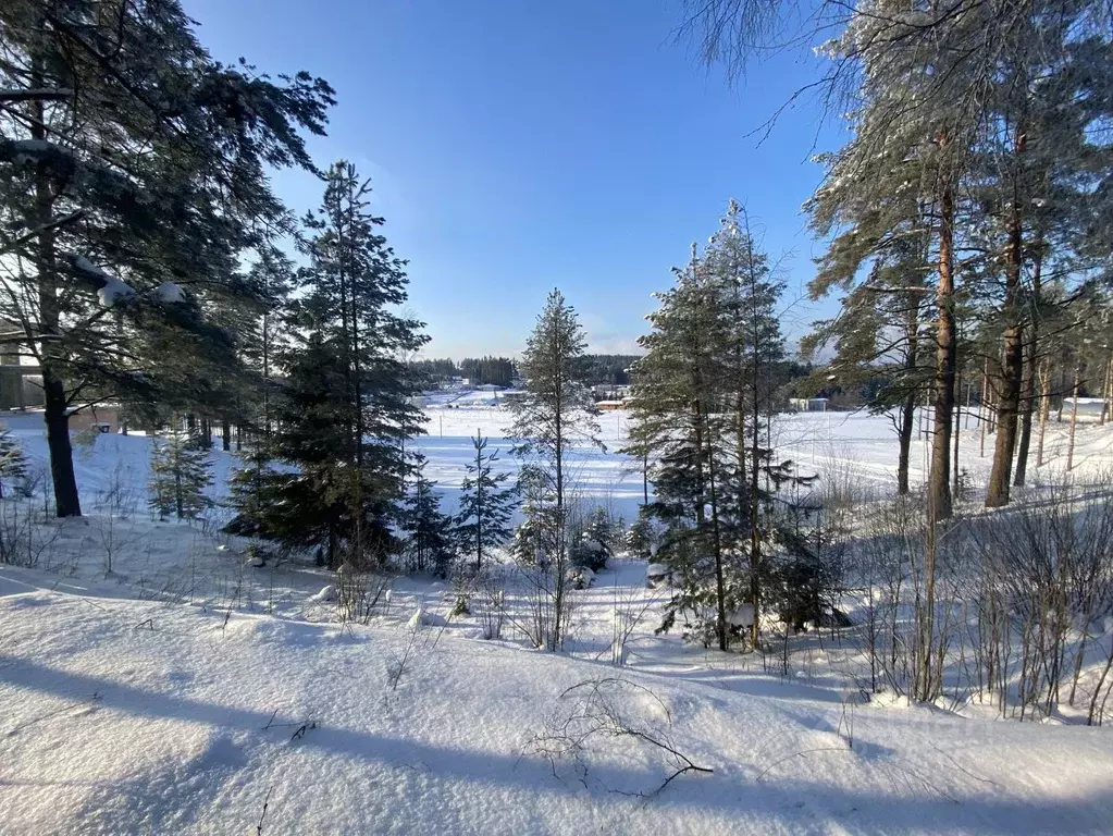 Участок в Ленинградская область, Всеволожский район, Бугровское ... - Фото 2