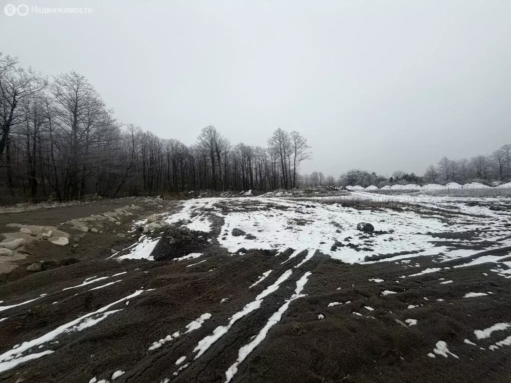 Участок в станица Луковская, Лесная улица (5 м) - Фото 1