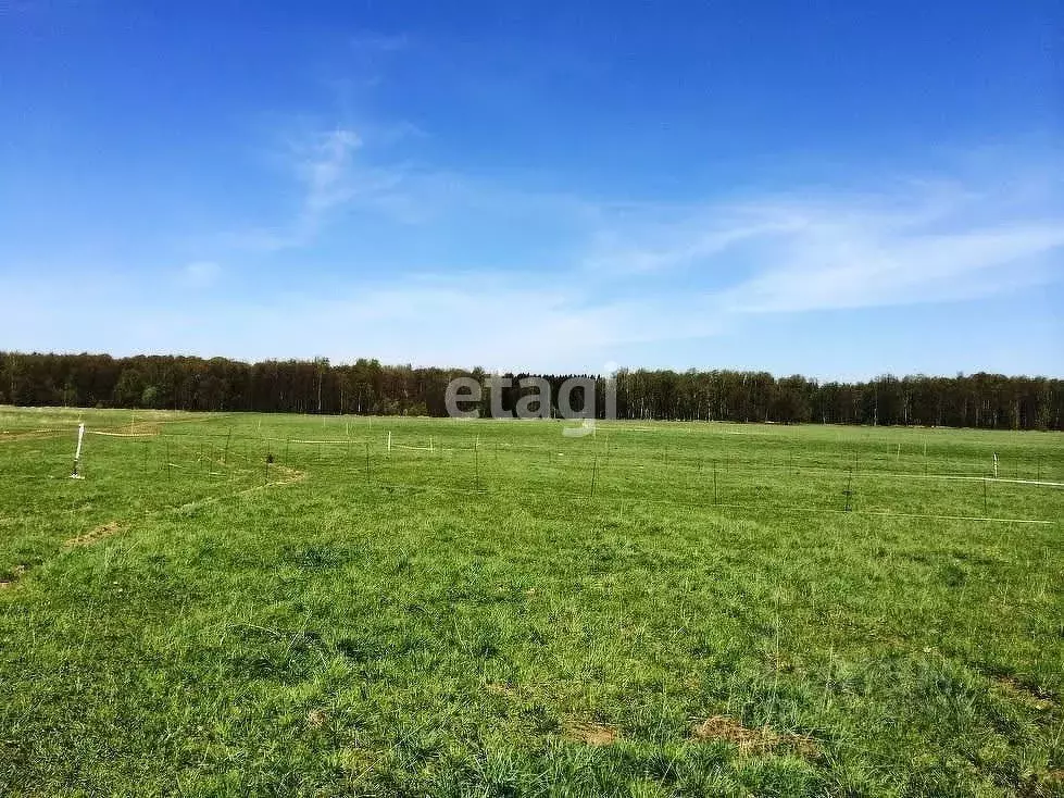 Участок в Краснодарский край, Ейский район, Кухаривское с/пос, ... - Фото 2