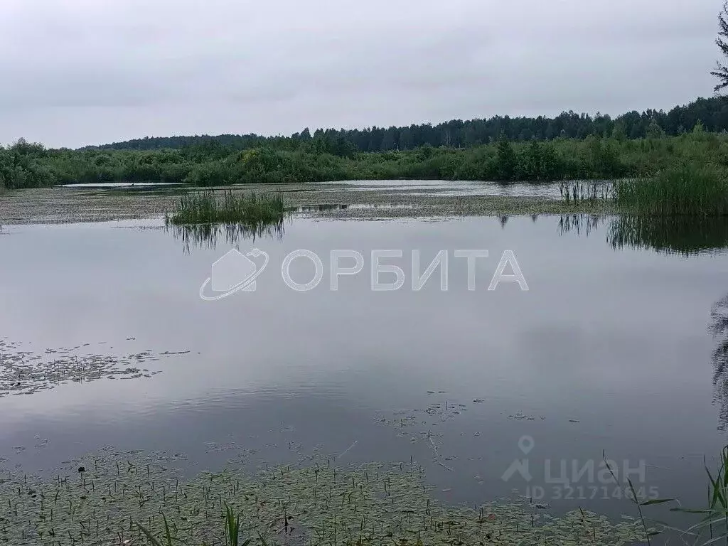 Участок в Тюменская область, Нижнетавдинский район, д. Штакульская  ... - Фото 1