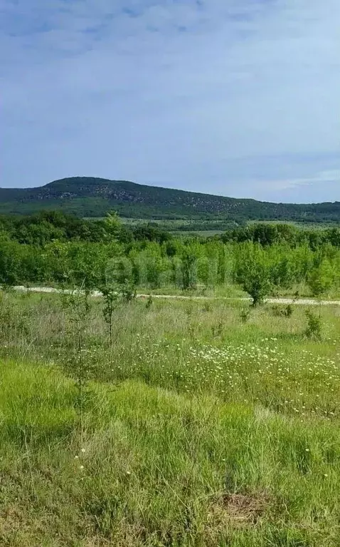 Участок в Московская область, Ступино городской округ, Севастополь СНТ ... - Фото 0