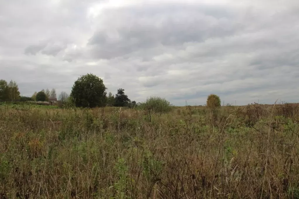 Участок в Московская область, Шаховская муниципальный округ, д. ... - Фото 1