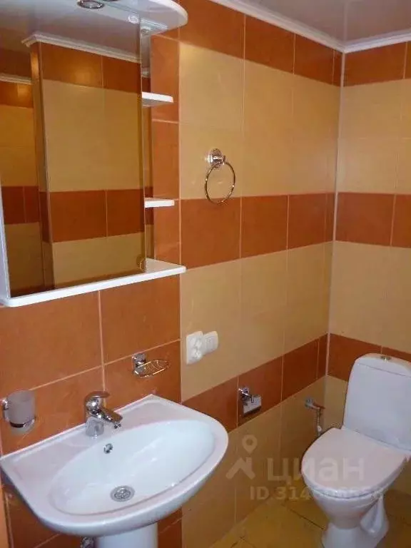Комната Владимирская область, Суздаль ул. Коровники, 44 (25.0 м) - Фото 1