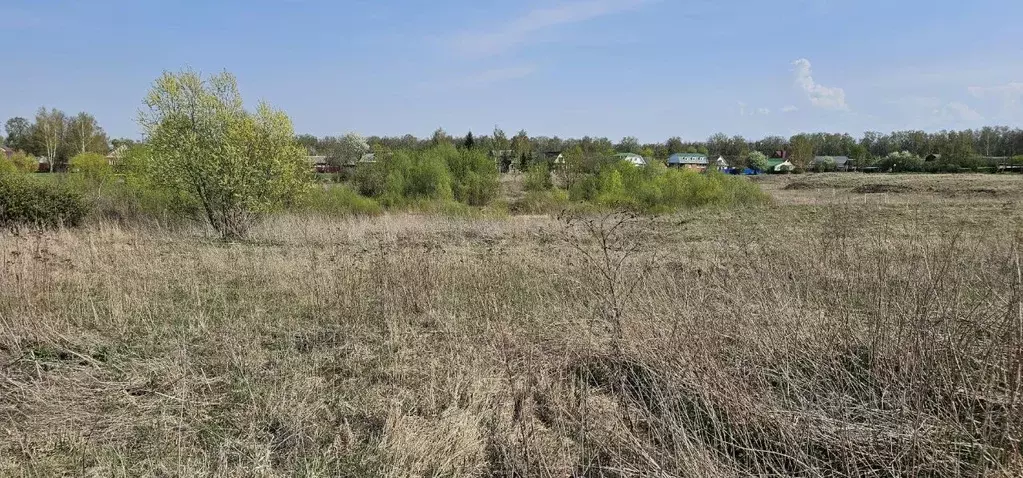 Участок в Московская область, Луховицы муниципальный округ, д. ... - Фото 0