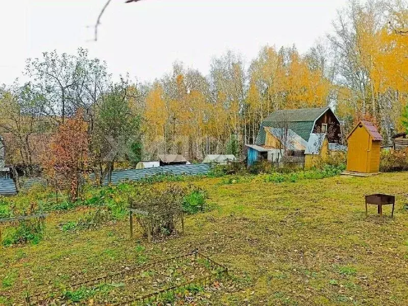 Участок в Новосибирская область, Новосибирск  (5.0 сот.) - Фото 1