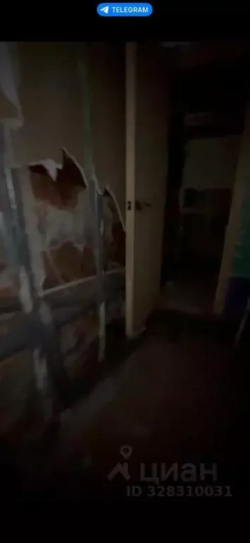 Помещение свободного назначения в Ленинградская область, Выборг ... - Фото 2