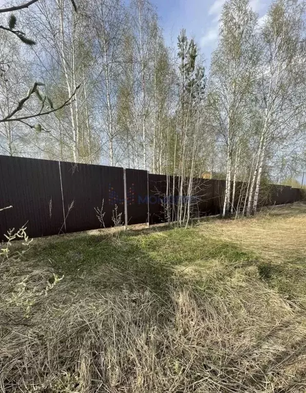 Участок в Нижегородская область, Богородский муниципальный округ, д. ... - Фото 1