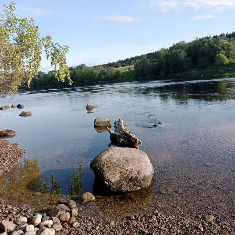 Дом в Ленинградская область, Выборгский район, Светогорское городское ... - Фото 0