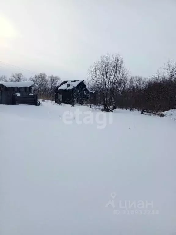 Участок в Алтайский край, Алтайский район, с. Нижнекаменка Сибирский ... - Фото 0