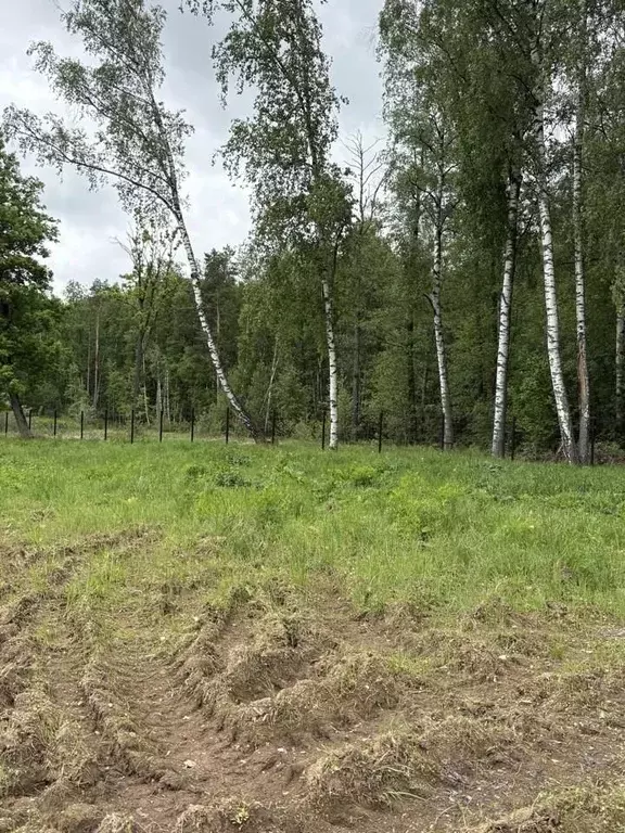 Участок в Московская область, Химки Клязьма-Старбеево мкр, Вашутино ... - Фото 1