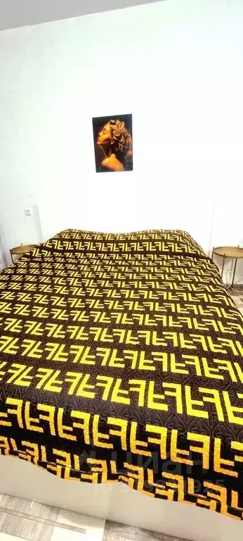 1-к кв. Красноярский край, Красноярск ул. Академика Киренского, 29 ... - Фото 2