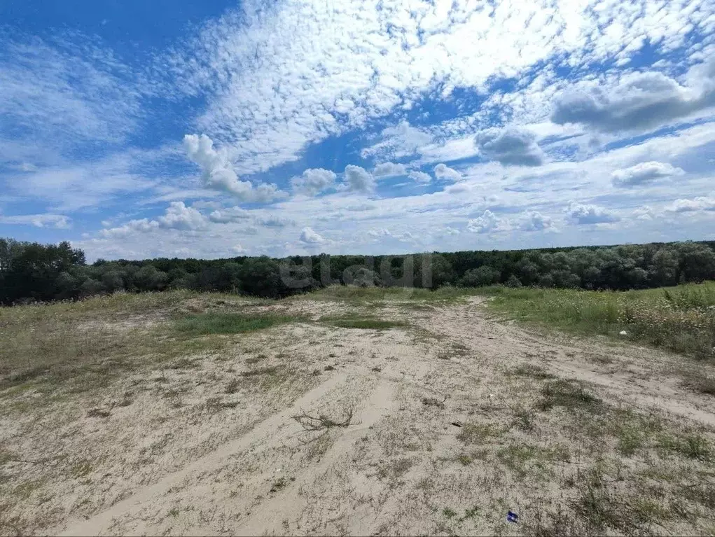 Участок в Саратовская область, Балашовский район, с. Репное ул. ... - Фото 2