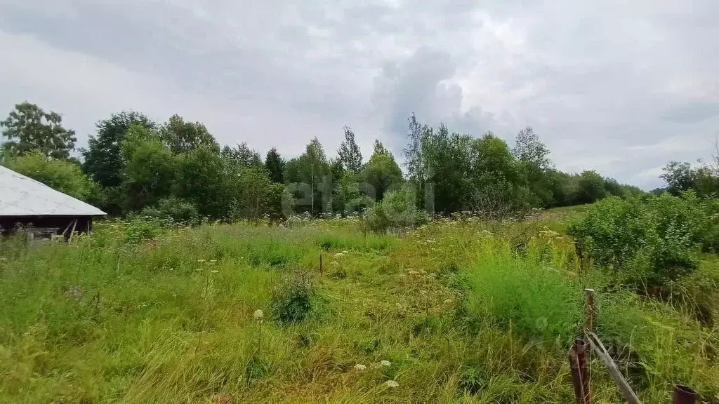 Участок в Вологодская область, Грязовецкий муниципальный округ, д. ... - Фото 1