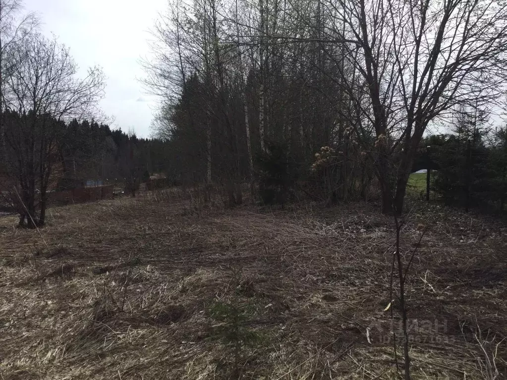 Участок в Московская область, Сергиево-Посадский городской округ, д. ... - Фото 2