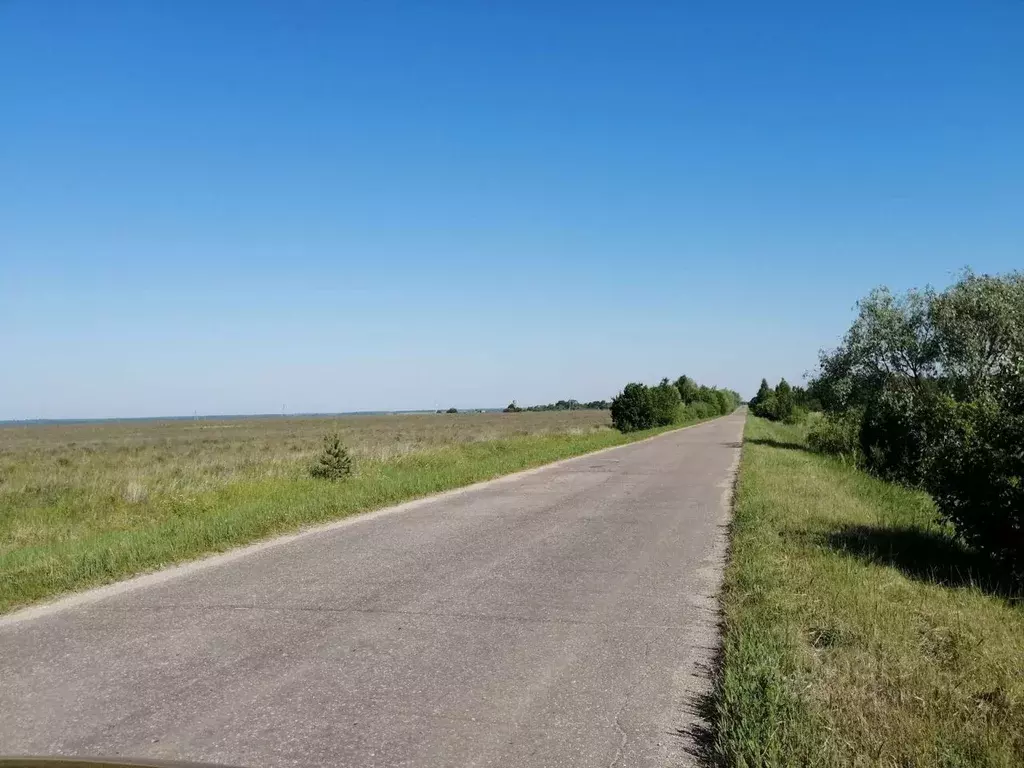 Участок в Нижегородская область, Починковский муниципальный округ, с. ... - Фото 1