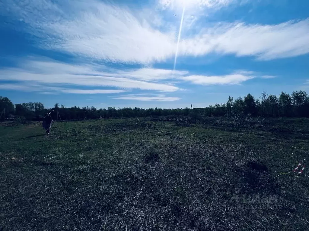 Участок в Московская область, Солнечногорск городской округ, д. ... - Фото 0
