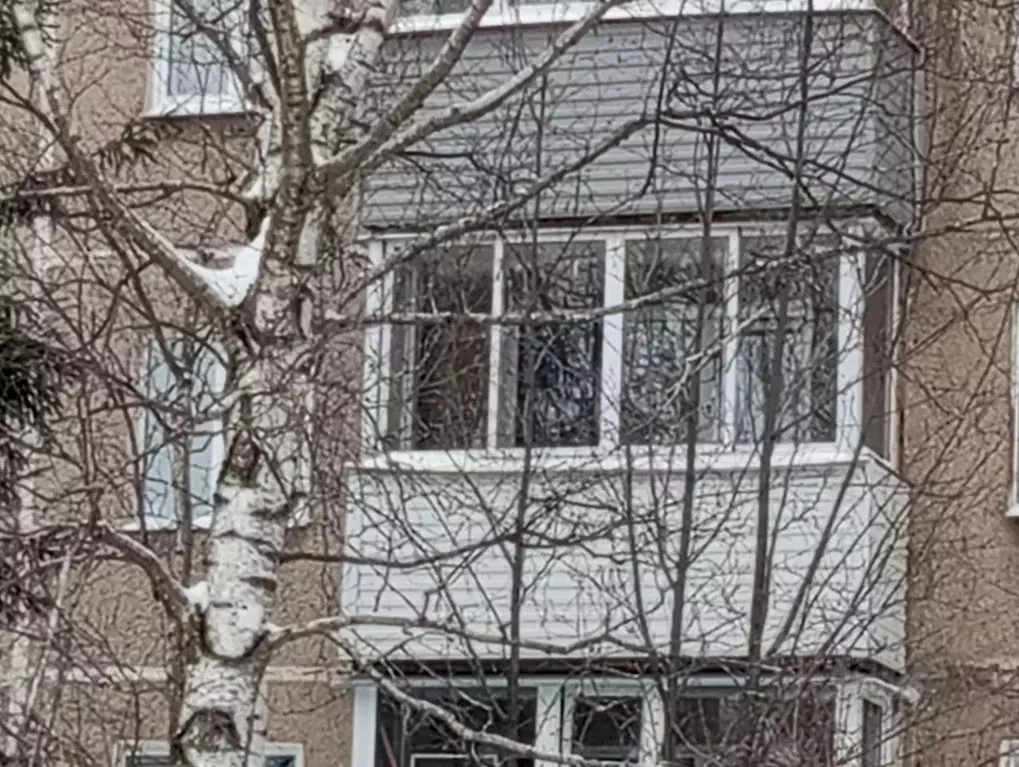 1-к кв. Пермский край, Пермь ул. Плеханова, 52 (31.0 м) - Фото 1