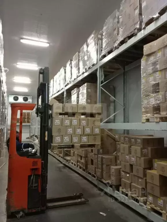 Склад в Мордовия, Саранск Строительная ул., 18Ас3 (240 м) - Фото 1