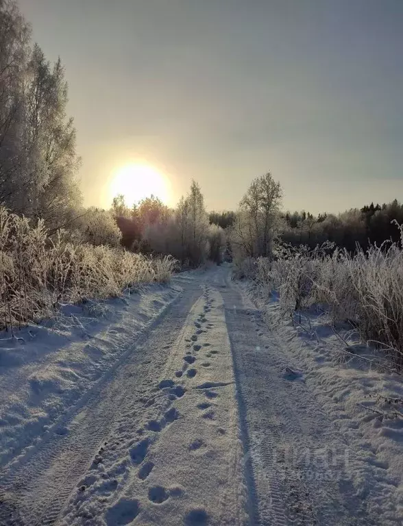 Участок в Ленинградская область, Тосненский район, Любанское городское ... - Фото 1