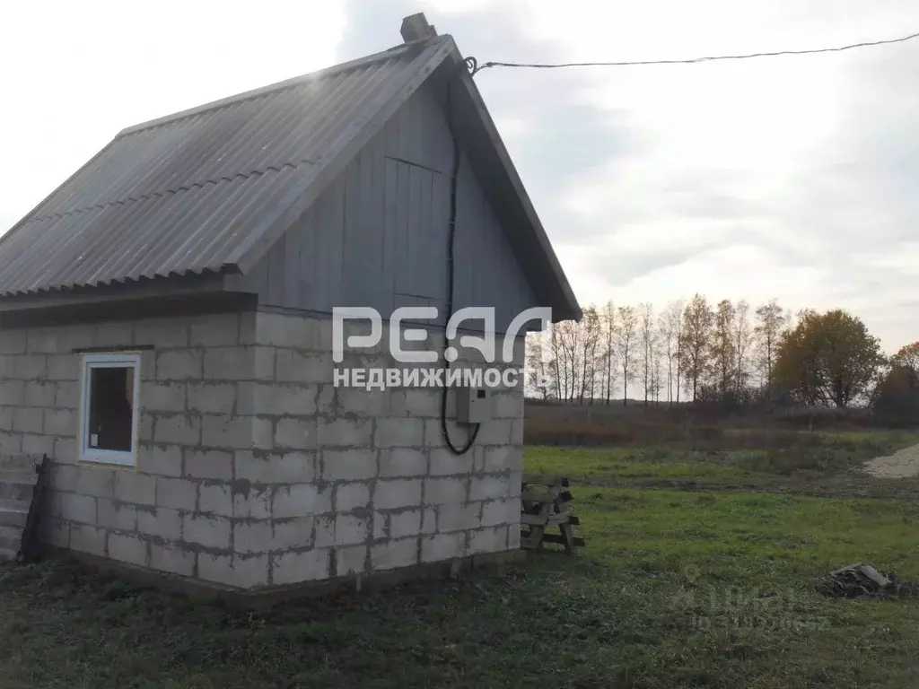 Участок в Ленинградская область, Волосовский район, Большеврудское ... - Фото 1