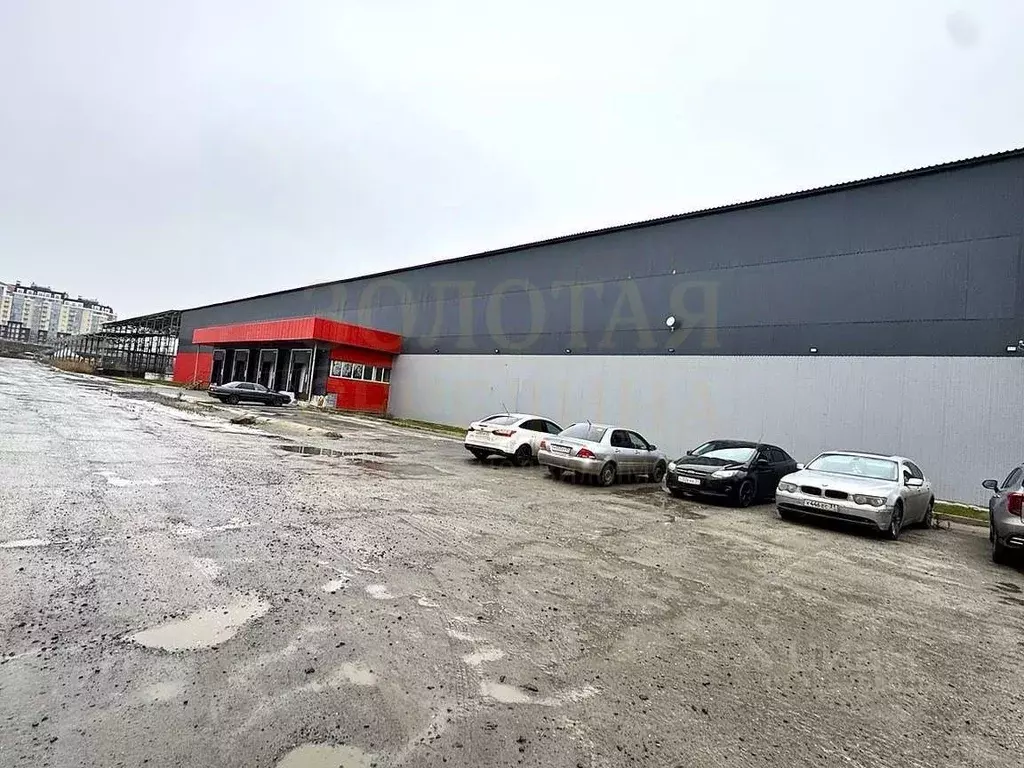 Помещение свободного назначения в Белгородская область, Белгород ул. ... - Фото 2