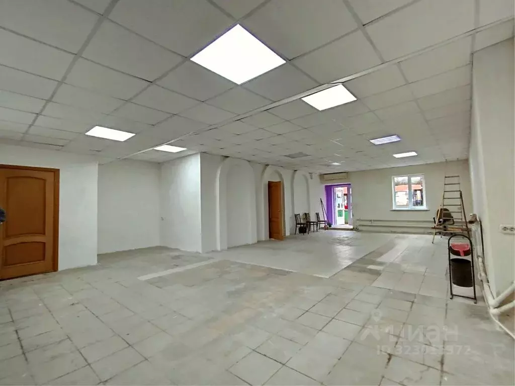 Помещение свободного назначения в Пензенская область, Пенза ул. ... - Фото 1