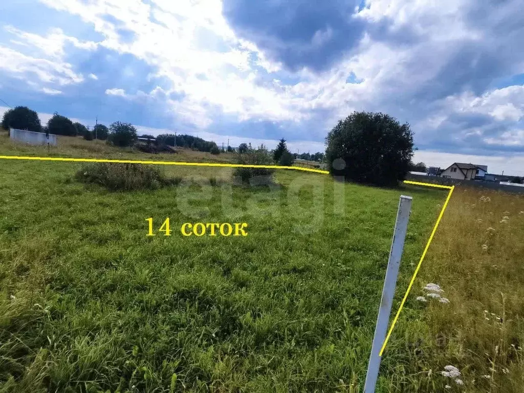 Участок в Вологодская область, пос. Непотягово, д. Кудрино  (14.0 ... - Фото 1