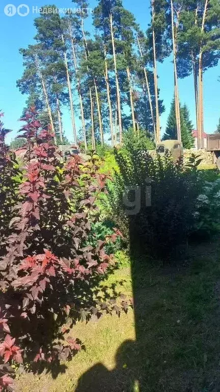 Дом в Курлек, Лесная улица (66 м) - Фото 1