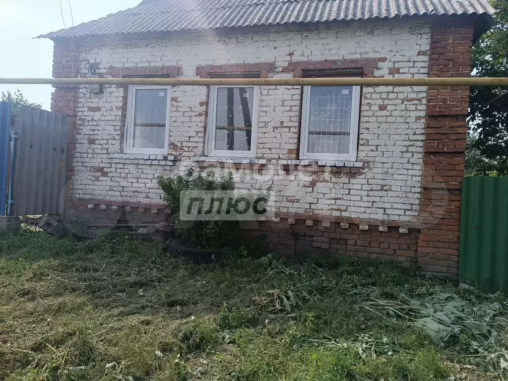 Дом 54,6 м на участке 50 сот. - Фото 1