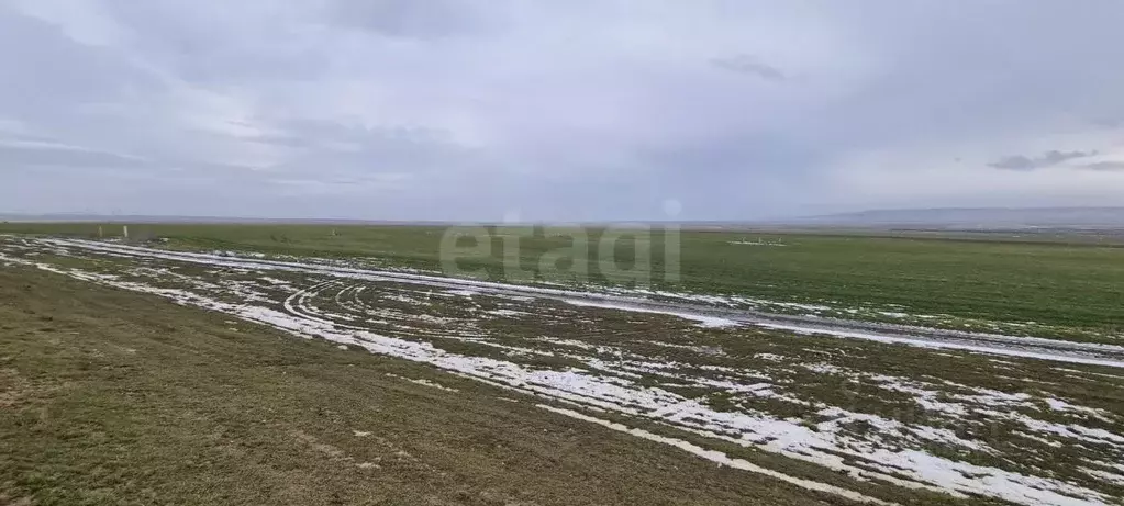 Участок в Крым, Кировский район, с. Владиславовка ул. Виноградная ... - Фото 1