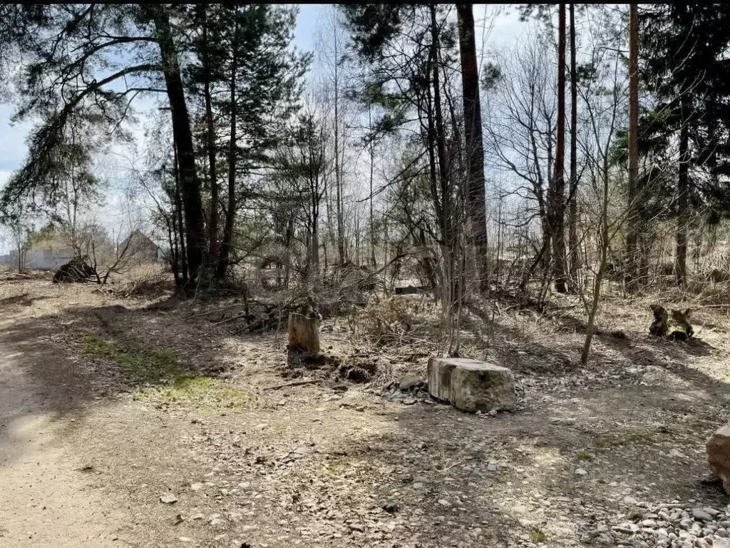 Участок в Московская область, Пушкинский городской округ, с. Левково  ... - Фото 2