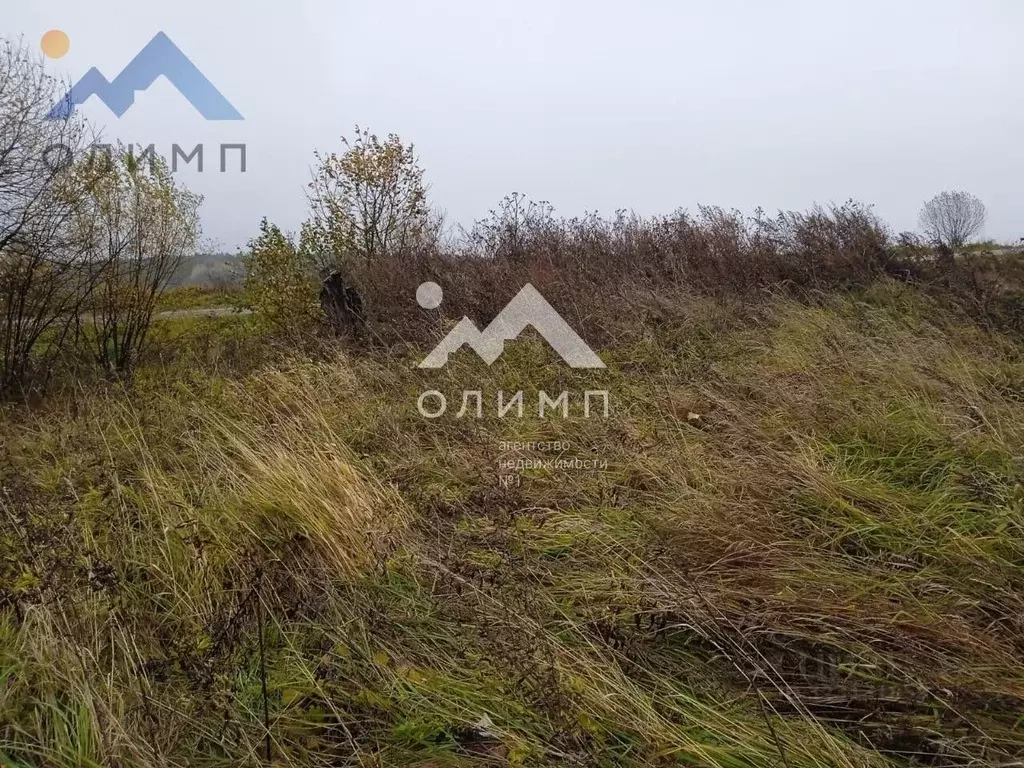 Участок в Вологодская область, с. Спасское  (16.0 сот.) - Фото 1