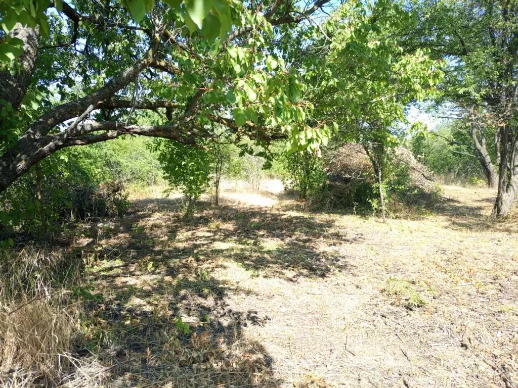 Участок в Краснодарский край, Ейское городское поселение, пос. ... - Фото 1